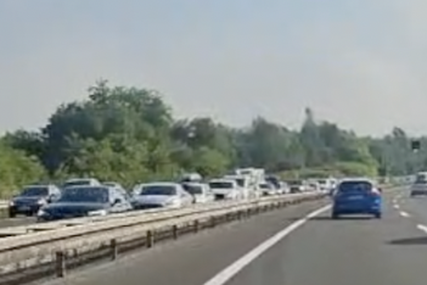 Gu&zcaron;ve prema moru