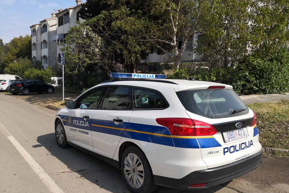 Otkriveni lopovi motornih pila