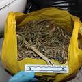 Pao diler 'trave': U stanu na zagreba&ccaron;koj Pe&scaron;&ccaron;enici dr&zcaron;ao vi&scaron;e od 11 kilograma marihuane