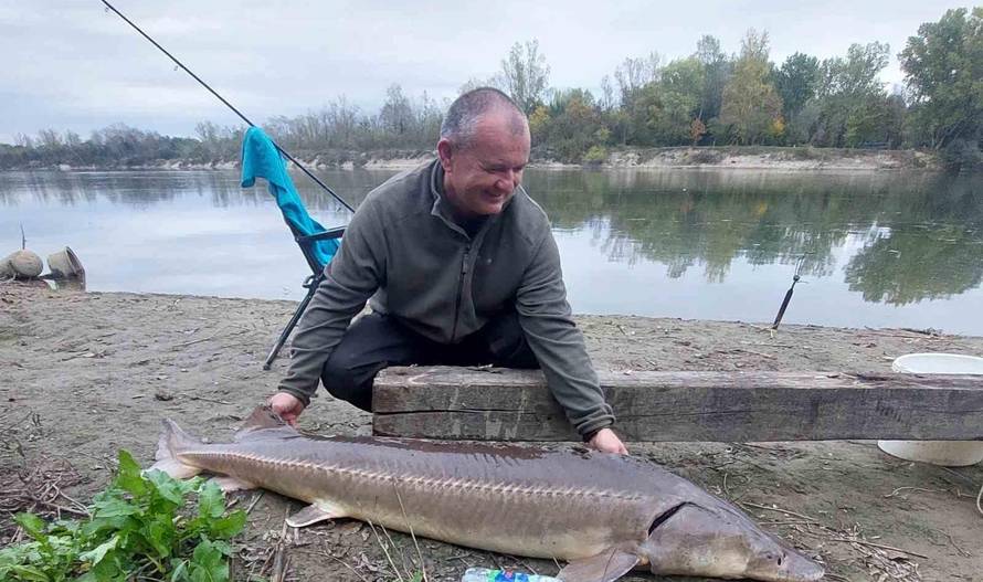 Ribič na Dravi upecao jesetru od 35 kilograma: 'Borili smo se 40 minuta, skakala je po rijeci'