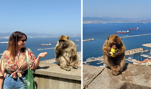 FOTO Majmuni su nam skakali po glavama na Gibraltaru i jeli iz ruke. Mame su pokazale zube