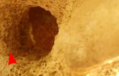 Nevjerojatno otkriće! Ovime su drevni 'policajci' Egipta čuvali grobnice prije 3300 godina