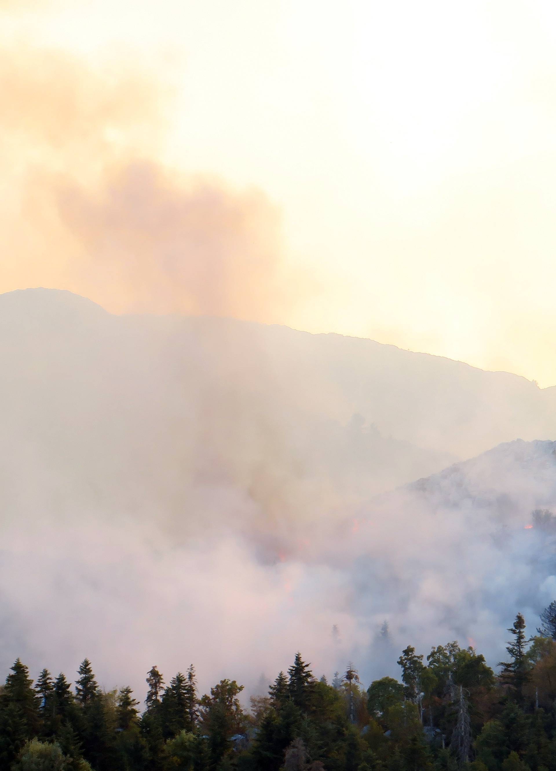 Nemoćni su: Samo kiša može spasiti biokovske endeme...