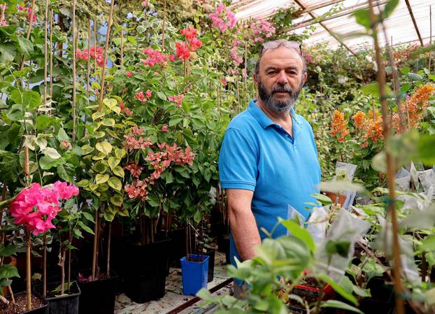Split: Denis Bojčić, kolekcionar bugenvila