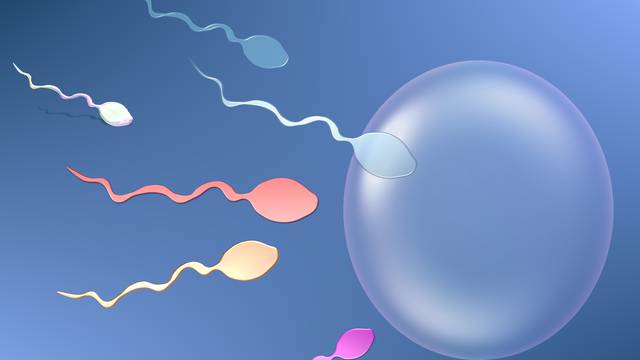 Broj spermija kod muškaraca pada, još nitko ne zna zašto