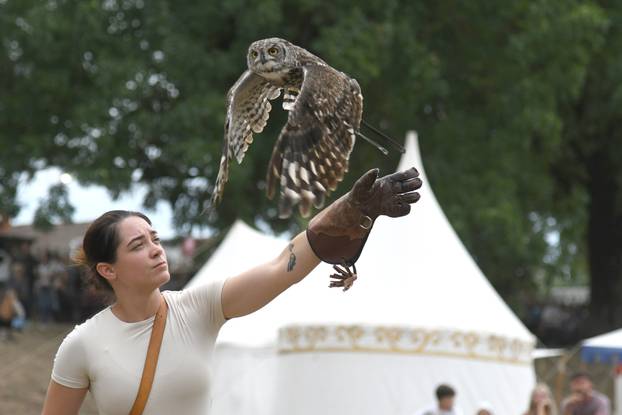 Koprivnica: Sokolari iz Slovačke bili su najveća atrakcija trećeg dana Renesansnog festivala
