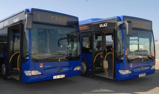 Vozač autobusa namjerno je pregazio tri psa kraj Zadra?