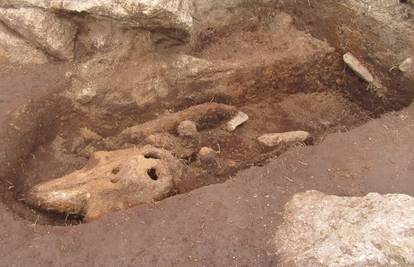Zbunio ih je nalaz: Arheolozi u grobu našli ostatke - pliskavice