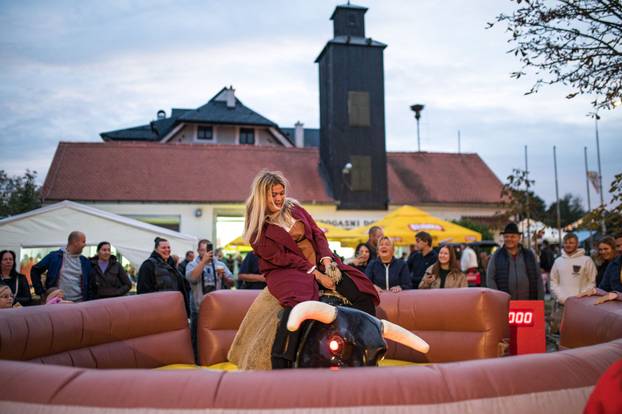 Održana 21. Bučijada i Sajam bučina ulja u Ivanić-Gradu