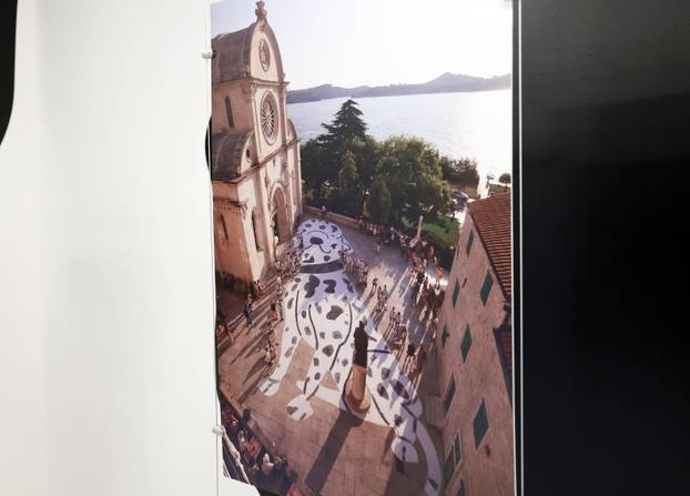 Šibenik:Otvoren muzej dalmatinskom psu,dalmatincu 