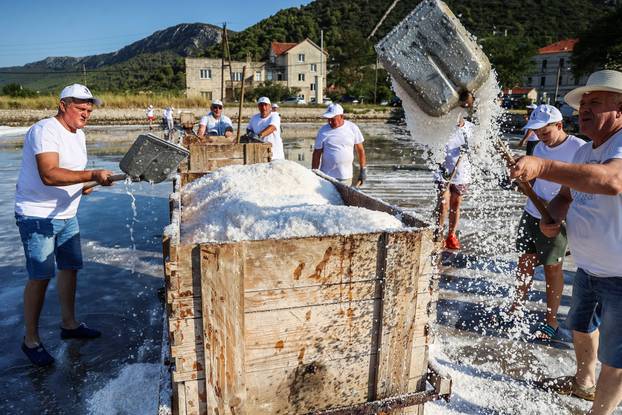 Berba soli u Stonskoj solani