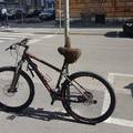 Zagreb: Pčele se nastanile na  sjedalu bicikla u centru grada!