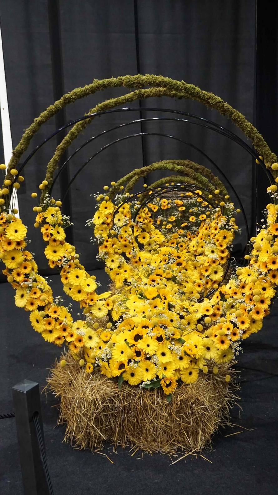 Osječanka najbolja floristica Hrvatske