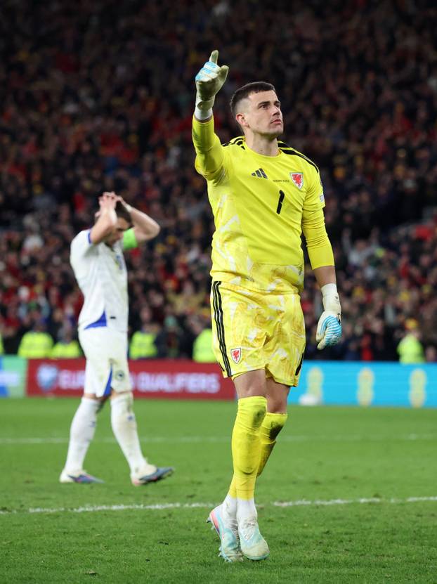 FIFA World Cup - UEFA Qualifiers - Semi Final - Wales v Bosnia and Herzegovina