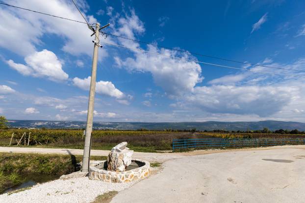 U Zmijavcima otkriven spomenik žabi