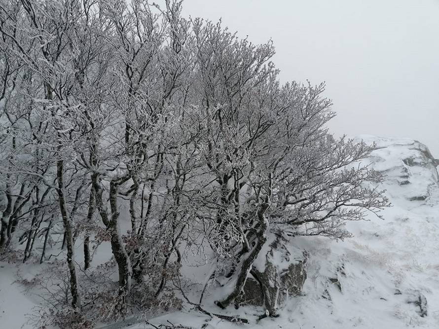Na Zavižanu palo 23 cm snijega!