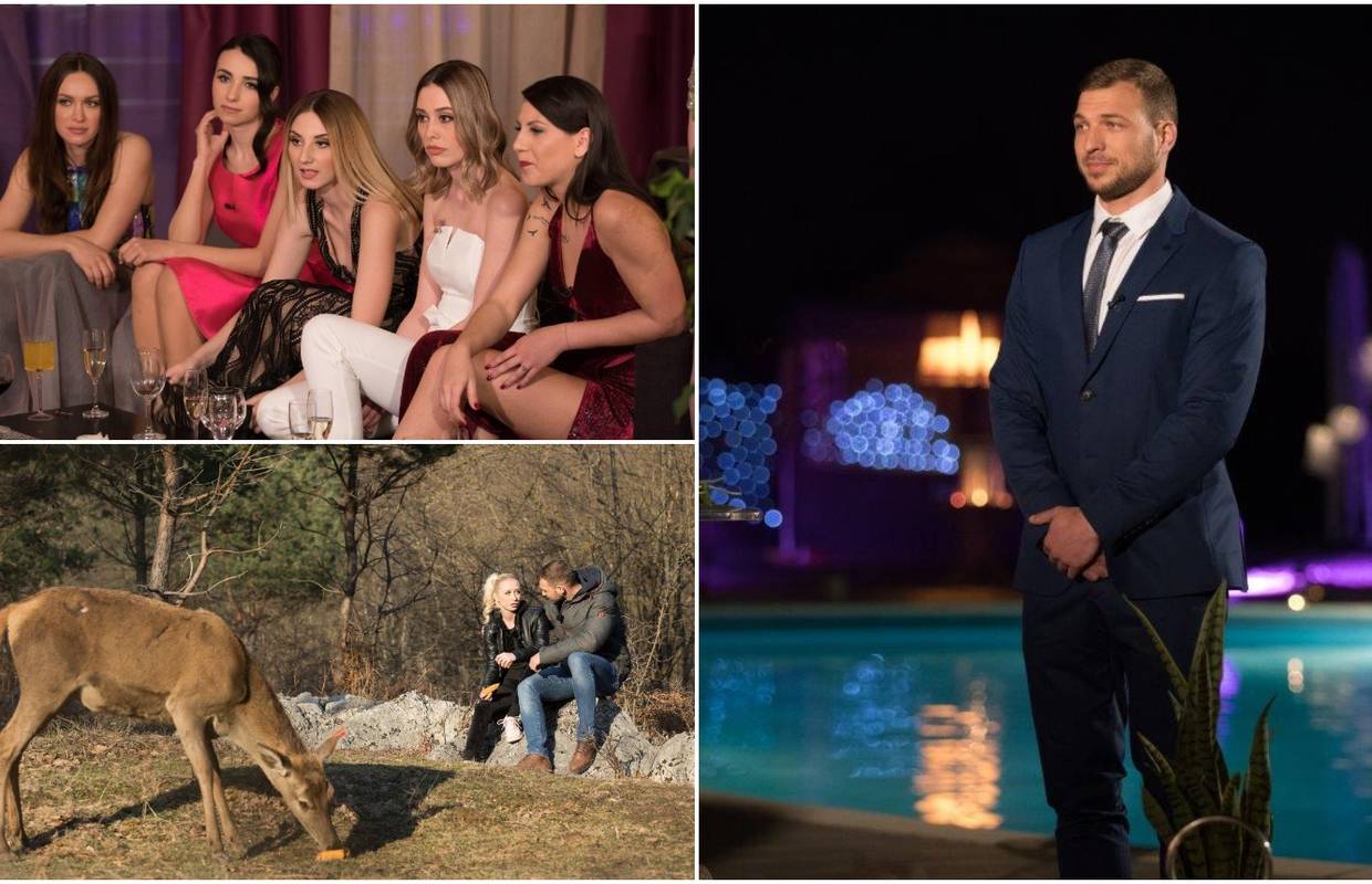 Cure se boje za opstanak pa su na Miju nasrnule baš kao hijene
