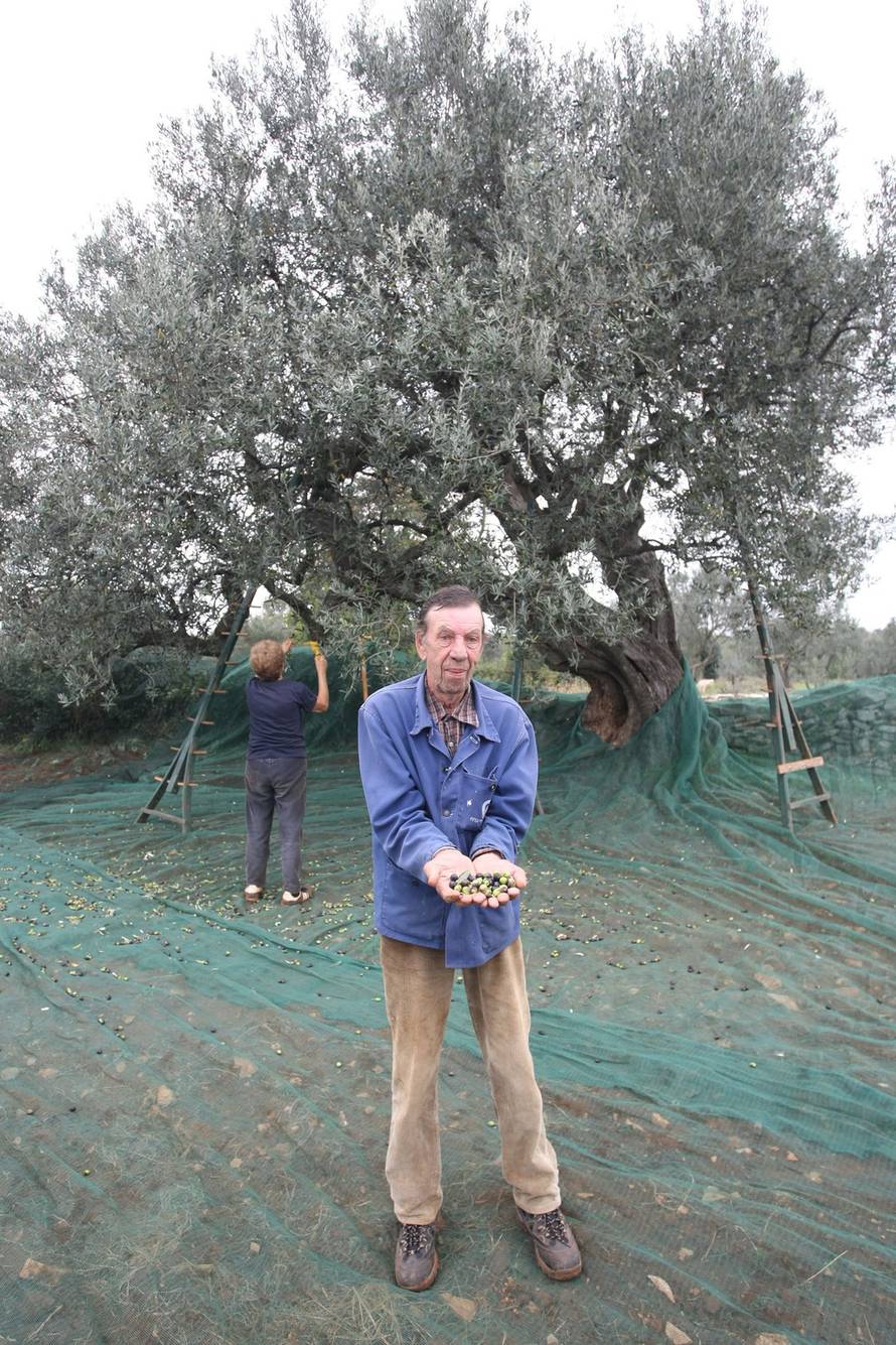 Dusko Marusic/PIXSELL