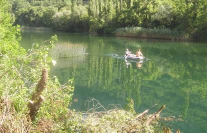 Omiš: Psu zavezali kamen oko vrata i bacili ga u rijeku Cetinu