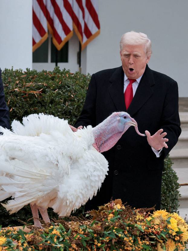 Annual pardoning of the Thanksgiving turkey at the White House in Washington