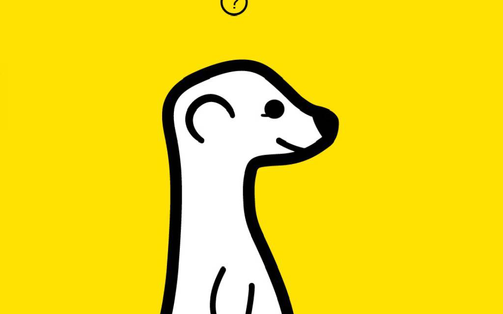 Meerkat