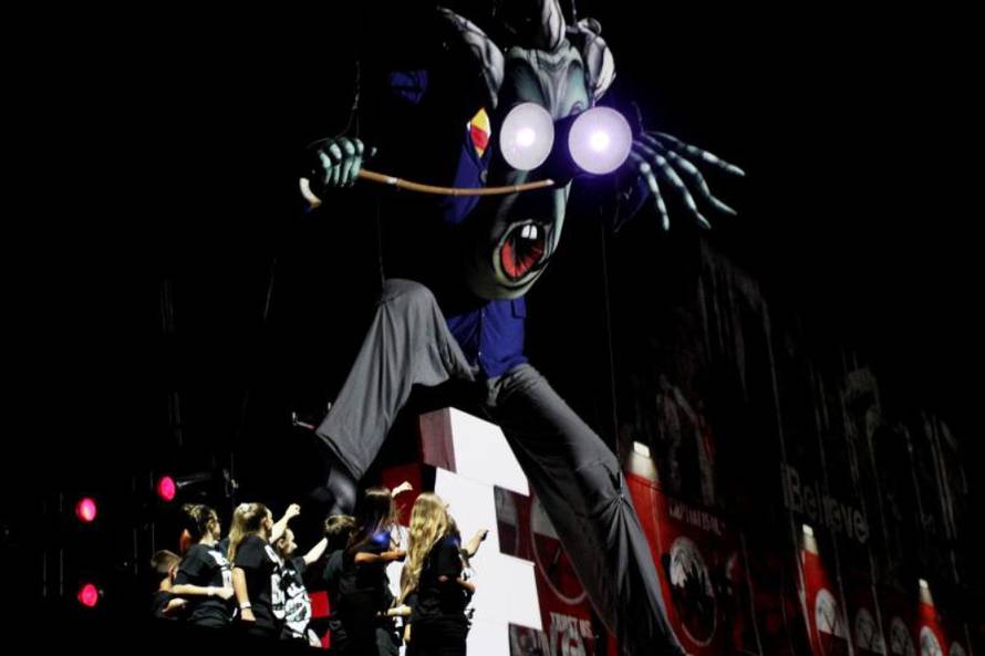 Ivana Ivanović/Pixsell