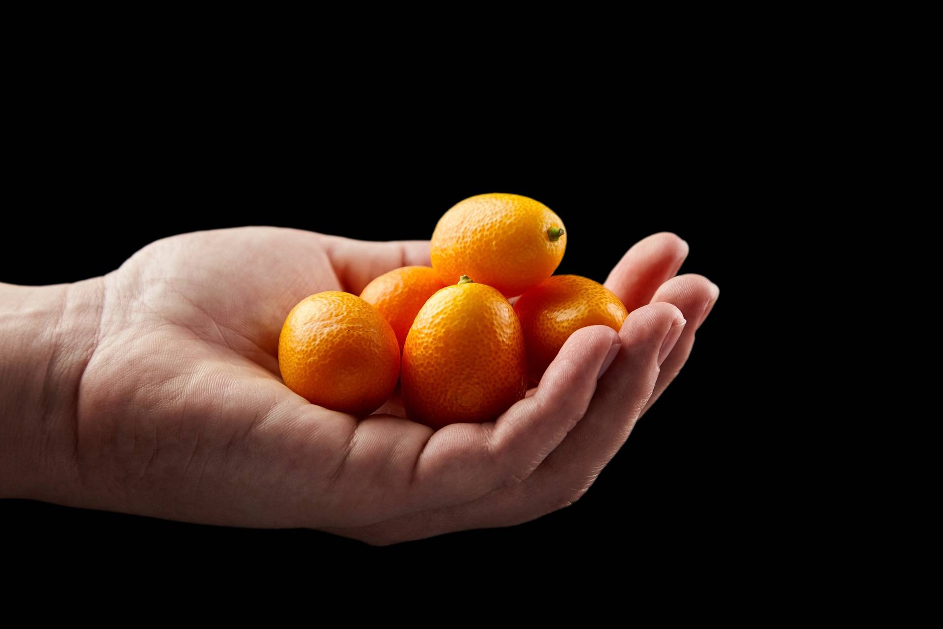 Kumquat , small oval citrus fruits, nagami variety