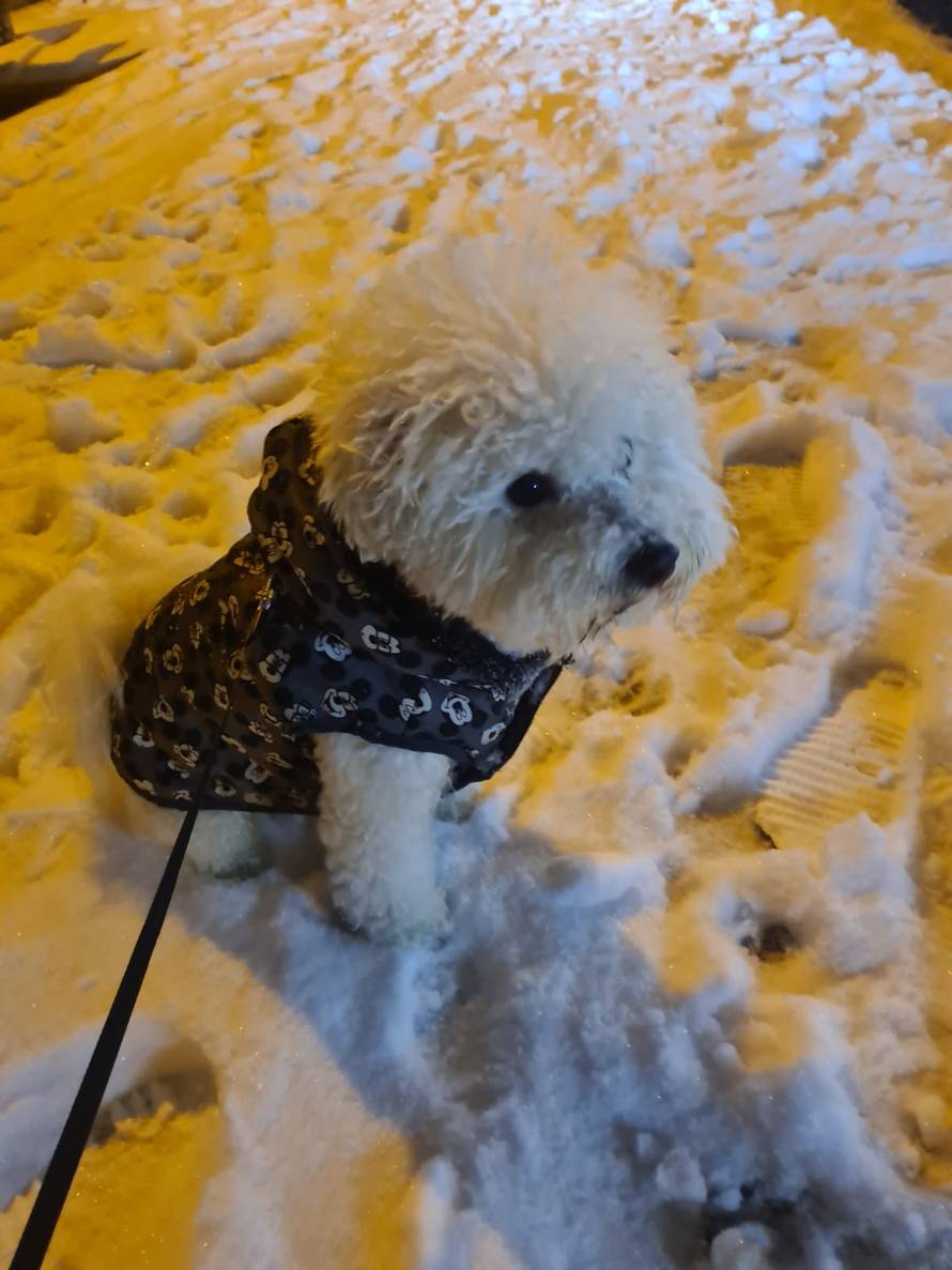 Općinska komunalka sama 'izlopatala' snijeg sa staze: 'Nema nikakve drame u tome'