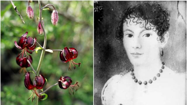 Maria je bila prva hrvatska botaničarka: Njena zbirka je neprocjenjiva, čuva se u Splitu