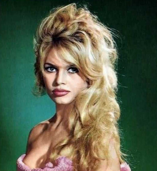Brigitte Bardot bila seks-simbol, udavala se četiri puta, a sada je već 28 godina s političarem...