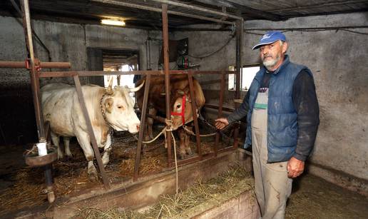 Nakon tri tjedna lutanja Mica i Mojca vratile su se Franji...