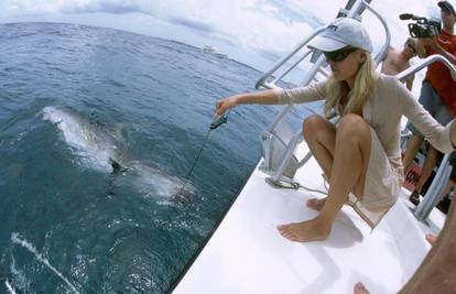 Heidi Klum plivala je s morskim psom: Moja sreća što je bio sit