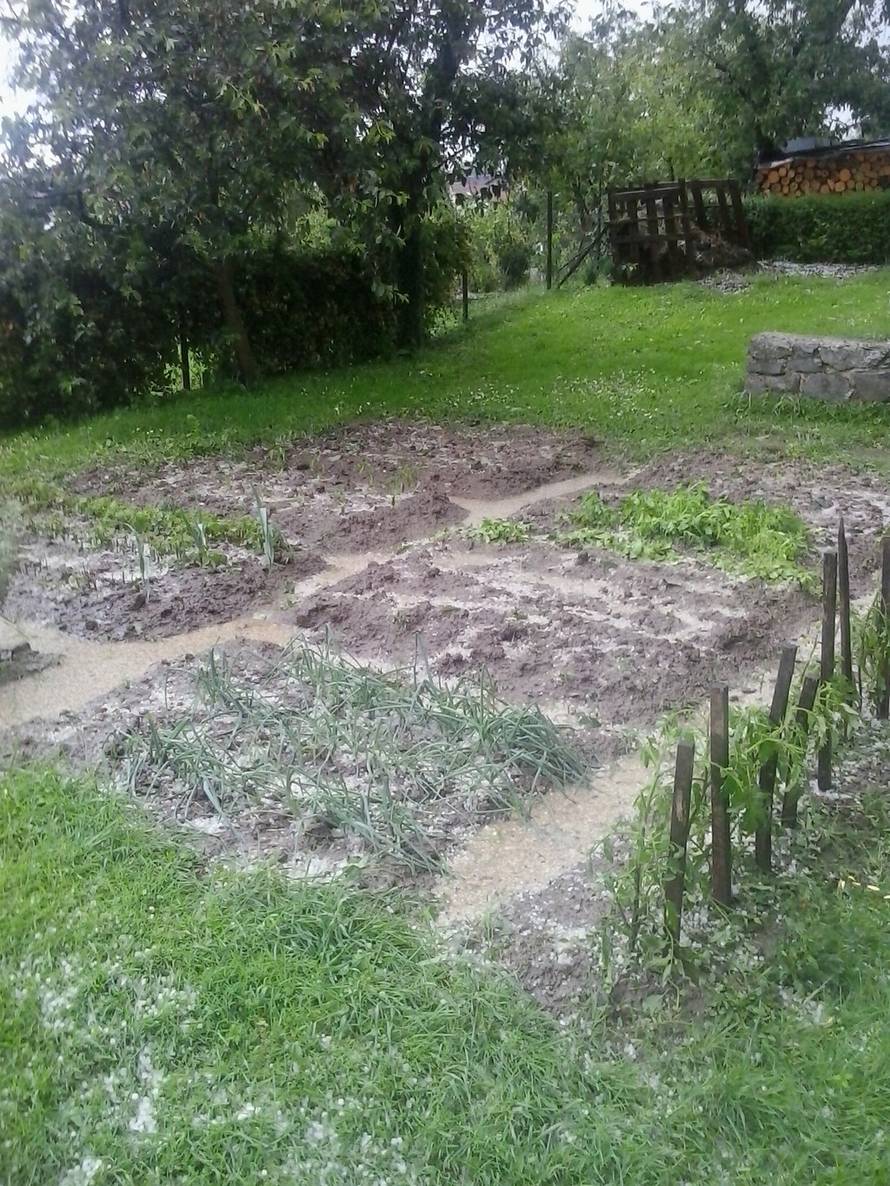 čitatelj 24sata