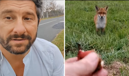 VIDEO Kratko i slatko druženje lisice i Dušana Bućana: 'Ovo je nadrealno iskustvo, definitivno'