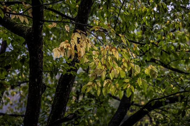 Kišno jesenski ugođaj na Plitvičkim Jezerima