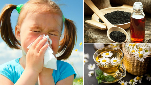 Peludna alergija - simptomi i liječenje: Pomoći mogu čajevi, eterična ulja, kupke ali i hrana