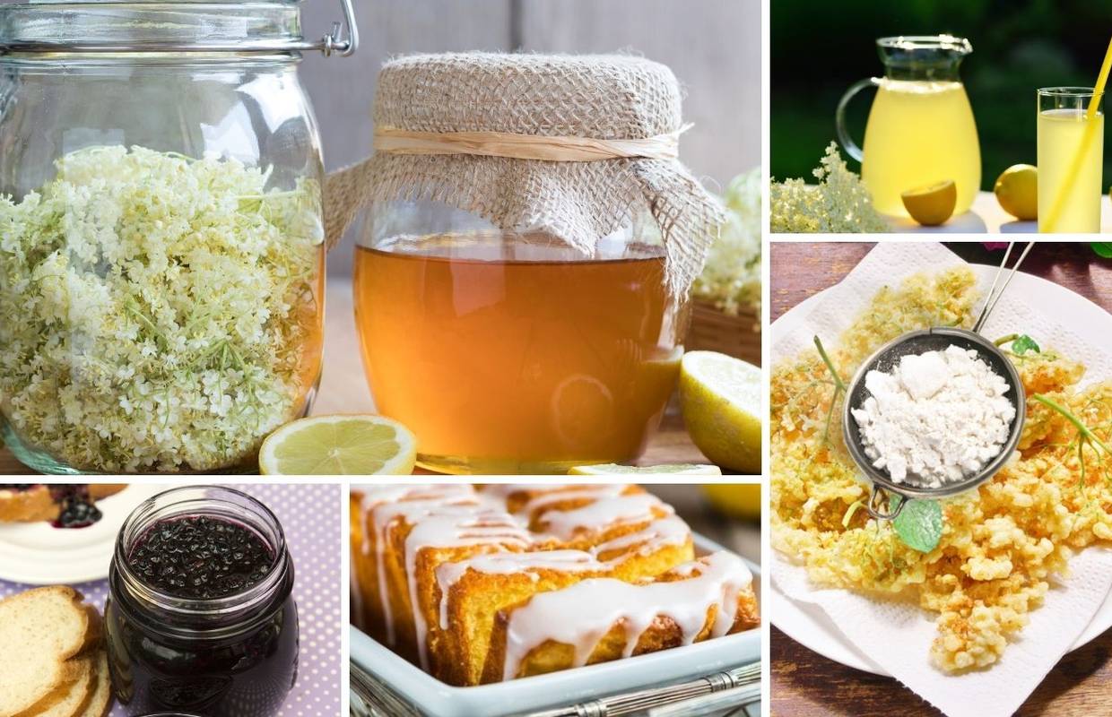 Sezona je bazge, iskoristite je! Napravite sirup, med, kolač...