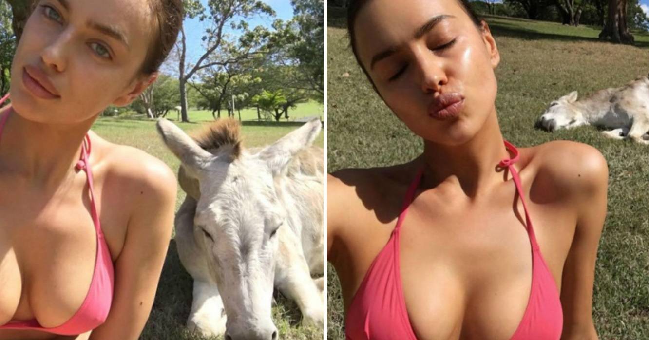 Irina Shayk malo pretjerala sa selfijima pa dosadila i magarcu