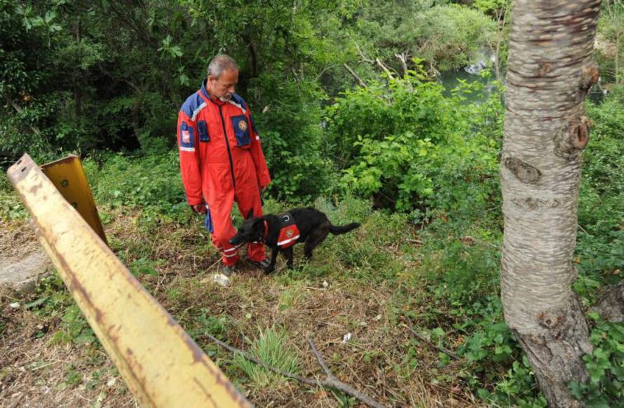 Hrvoje Jelavić/Pixsell