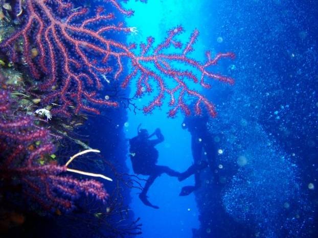 FOTO Ovo su najbolje i najljepše lokacije za ronjenje u Hrvatskoj