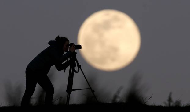 A woman photographs the Pink Supermoon over mountain Smetovi, during an astronomical event that occurs when the moon is closest to the Earth in its orbit, making it appear much larger and brighter than usual, in Zenica