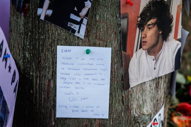 Split: Fanovi One Directiona održali memorijal u spomen na preminulog glazbenika Liama Paynea