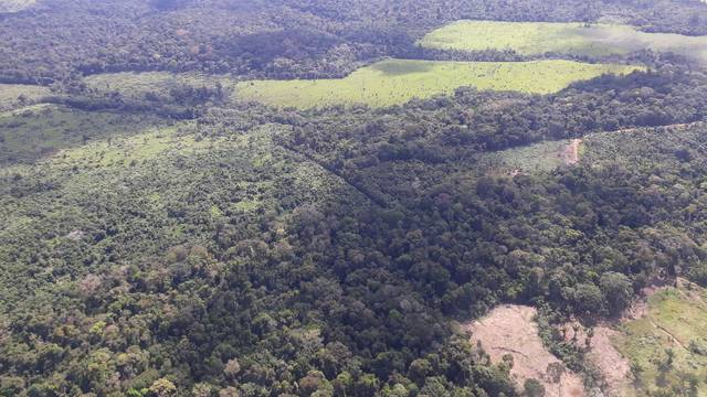Deforestation in Amazonia