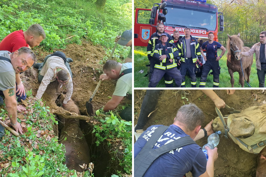 Vlasnik s kobilom upao u jamu u Zagorju: 'On je ispuzao, oko kobile smo kopali bagerom'