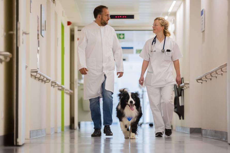 Gerijatrijski terapijski psi u Sana Klinikum Lichtenberg u Berlinu