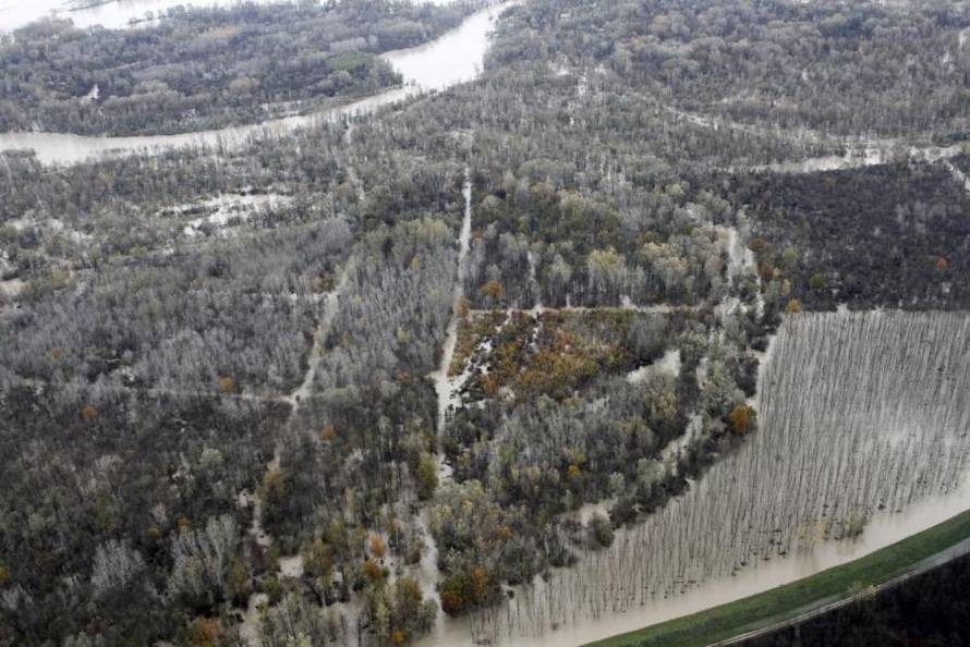 Vjeran Žganec-Rogulja/PIXSELL