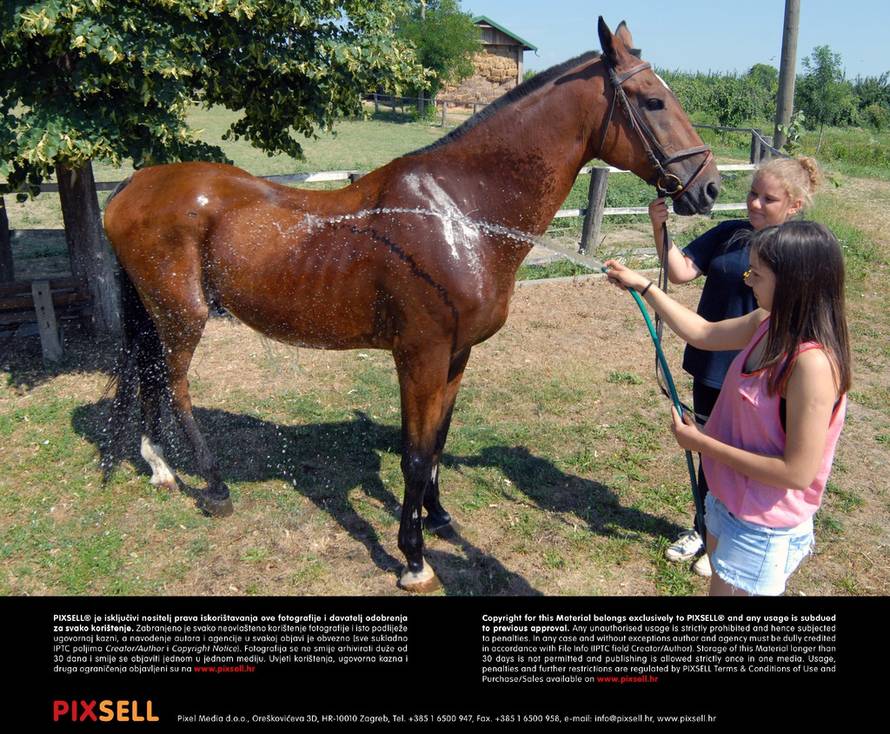 Goran Ferbezar/Pixsell