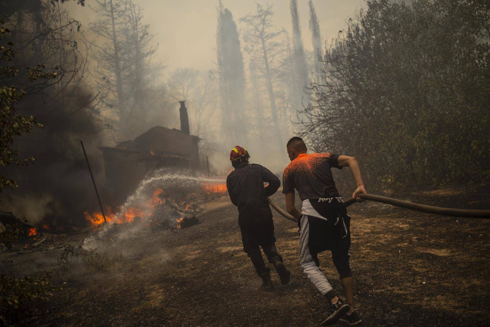 Forest fires in Greece