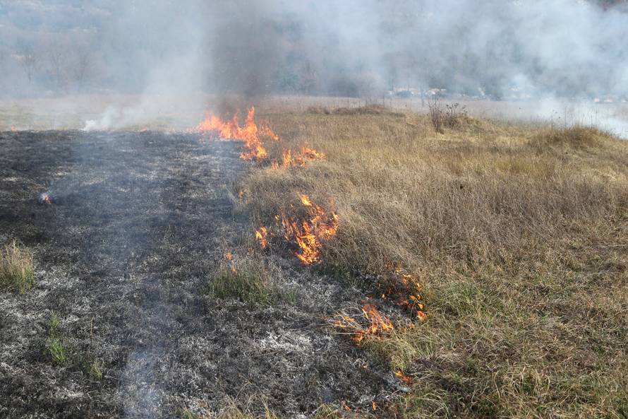 U danu čak 294 požara zbog paljenja korova, jedan poginuli