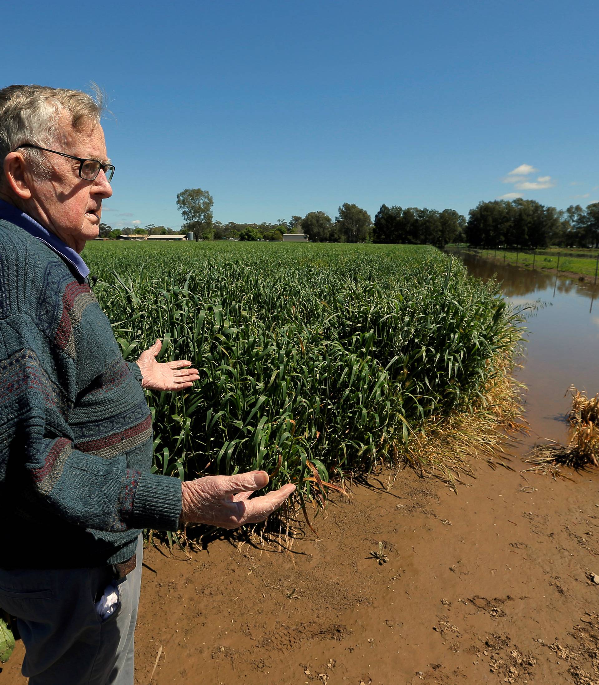 Australian farmer Leo Pietsch, 87, inspects his flooded oat crop after travelling via tractor through floodwaters to his stranded property, following heavy rainfall in the midwestern New South Wales town of Forbes